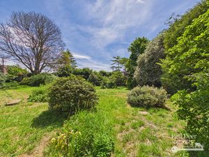 Garden- click for photo gallery